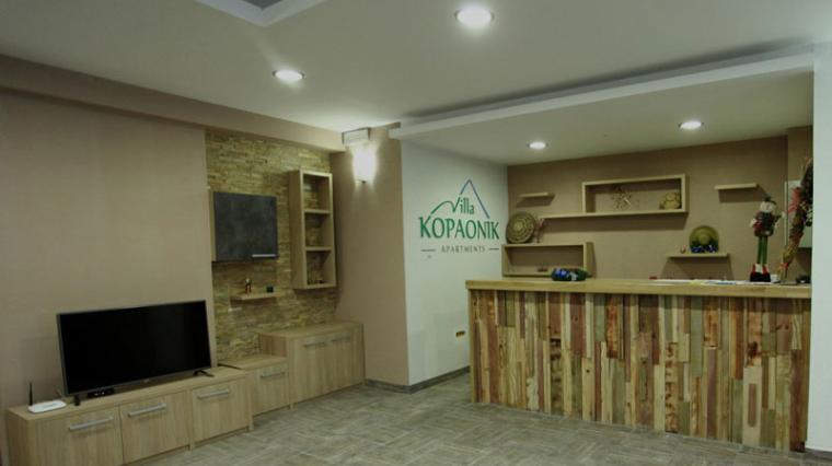 VILA KOPAONIK 2020 4