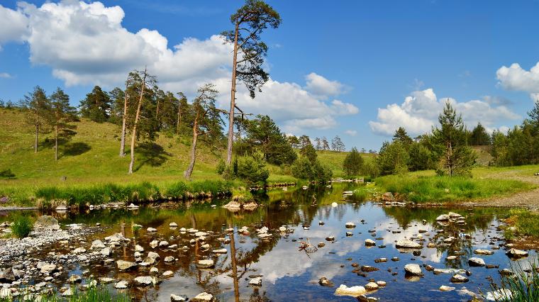 Zlatibor, klub Satelit - sopstveni prevoz 1