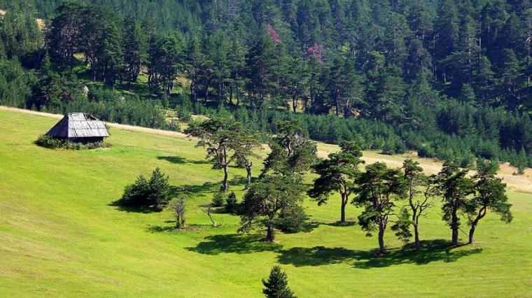 Zlatibor - El Paso City 3