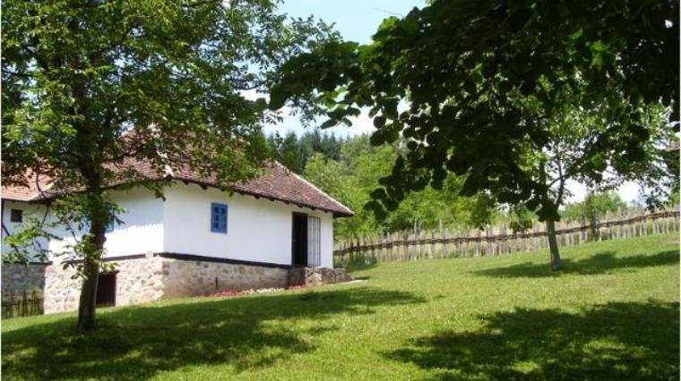 KRAJOLIK VUKA STEFANOVICA KARADZICA 2