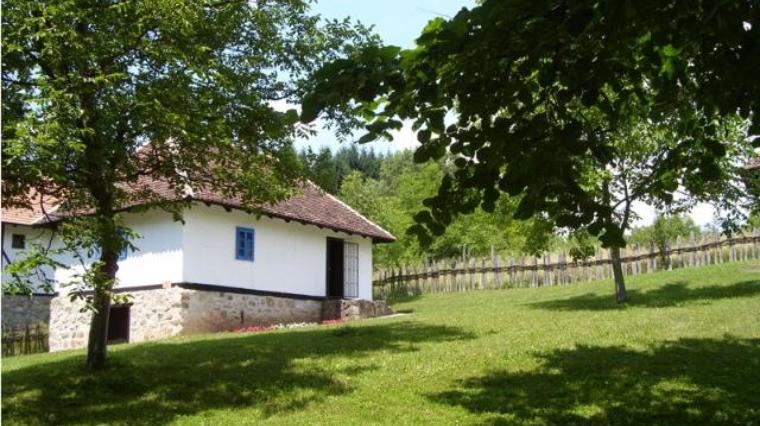 KRAJOLIK VUKA STEFANOVICA KARADZICA 11