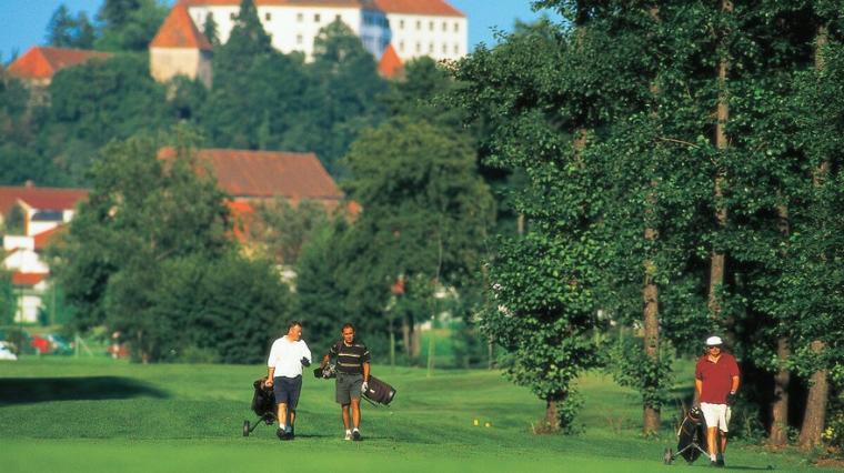 Terme Ptuj 1