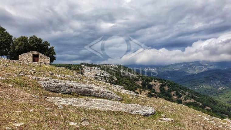 TASOS Hotelski smeštaj 2021 (7/10 noći)  24