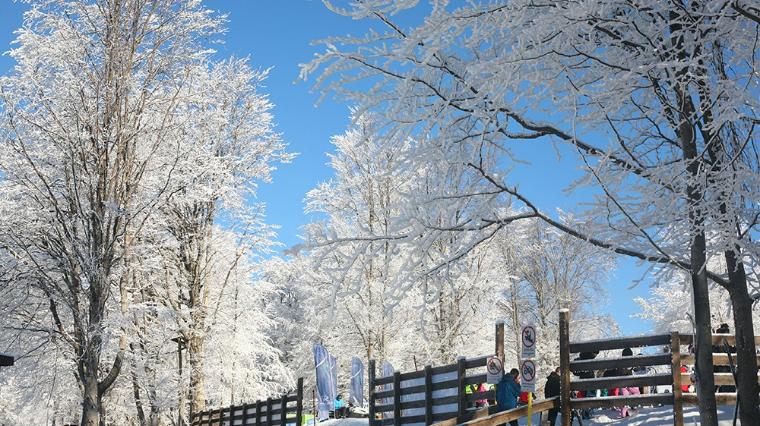 STARA PLANINA: Hotel Stara Planina, Redovne cene 9