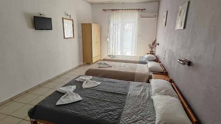 Leptokaria_apt_SP 2019 5