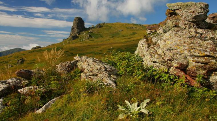 Stara  Planina